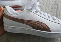 NEU! PUMA SENEAKER Gr.40 Niedersachsen - Salzgitter Vorschau
