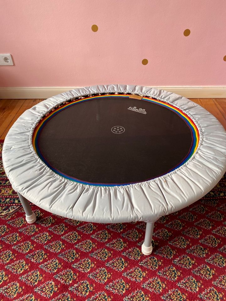 Trimilin Pro Plus Trampolin in Berlin