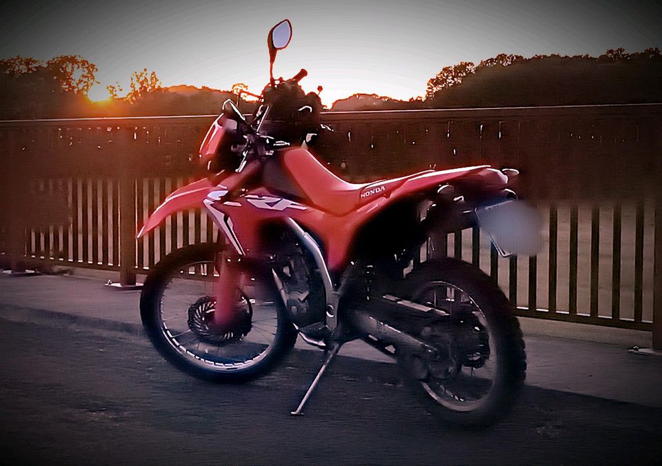 Honda CRF 250 L in Seevetal