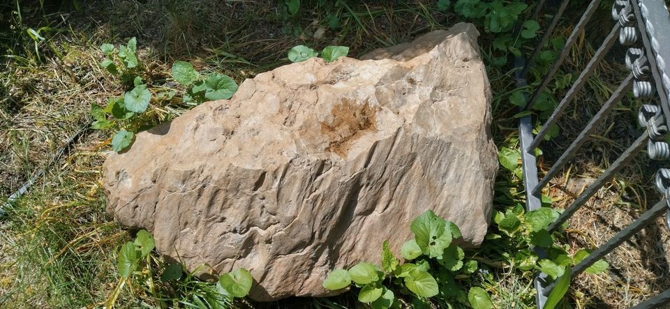 großer Stein Dekostein Garten Teich Terrarium Findling Deko in Dresden