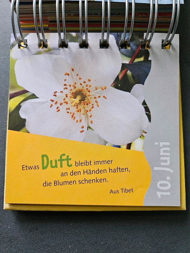 Pattloch Dauerkalender Sprüche Motivation Tischkalender zeitlos in Chemnitz