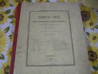 Heimische Vögel von E. Hasse von 1870,50 Holzschnitte Bayern - Merkendorf Vorschau