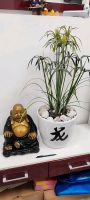Buddha Pflanzentopf Kunststoff Pflanze Asia Style Dekoration Bayern - Straßkirchen Vorschau