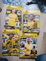 Borussini BVB Zeitschriften Dortmund - Mitte Vorschau