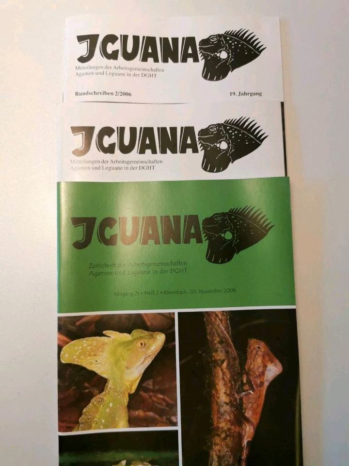 Reptilien und Amphibien Magazine in Soest
