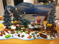 Playmobil 4166 Adventskalender Wildtierfütterung Weihnachten Niedersachsen - Oldenburg Vorschau