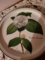 Sammelteller Villeroy & Boch Serie Camellia Schleswig-Holstein - Pansdorf Vorschau