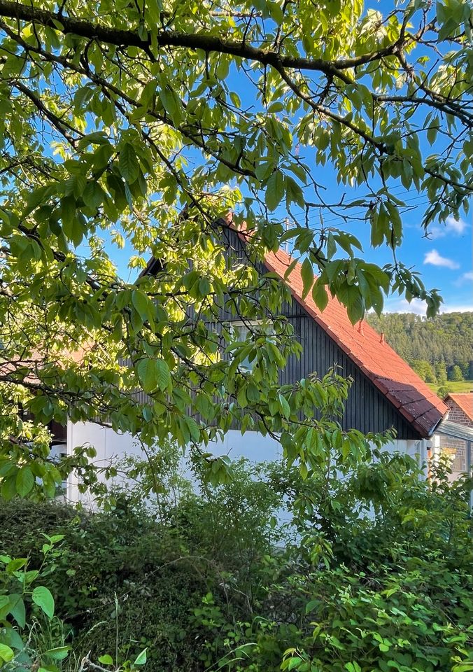 Haus im Grünem mit ca. 130qm (provisionsfrei) in Elmstein