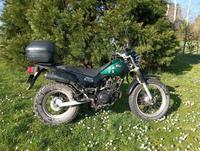Yamaha TW 125 Hessen - Dreieich Vorschau