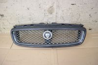 Jaguar X Type CF1 Grill Motorhaube Chrom Facelift $B Niedersachsen - Stuhr Vorschau