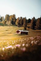 Bauernhaus / Mühle / Forsthaus gesucht Bayern - Falkenstein Vorschau