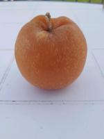 Kerze Apfel Bayern - Reisbach Vorschau
