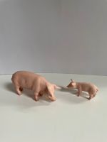 Schleich 13288 Sau & 13289 Ferkel Brandenburg - Wandlitz Vorschau