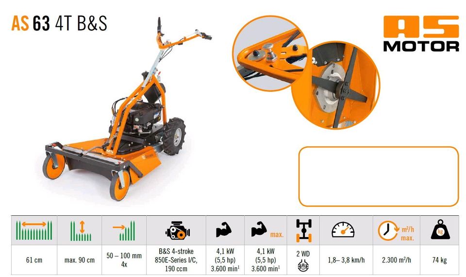 AS Motor 63 4T B&S Allmäher Mulcher Mulchmäher Rasenmäher in Wincheringen
