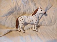 Schleich Appaloosa Familie Baden-Württemberg - Zaberfeld Vorschau