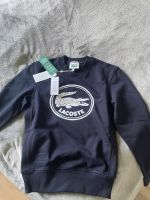 Lacoste Pullover neu ! Niedersachsen - Söhlde Vorschau