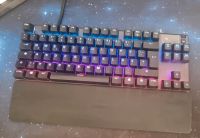 Steelseries TKL Niedersachsen - Seevetal Vorschau