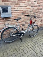 Pegasus Damenfahrrad (26“, 7 Gänge) Nordrhein-Westfalen - Ochtrup Vorschau