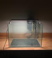 Aquarium 58L+Filter+Heizer (fast neu) Dresden - Johannstadt Vorschau