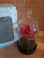 Die Schöne und das Biest Rose im Glas Rheinland-Pfalz - Heßheim Vorschau