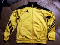 Adidas Trainingsjacke Gr. 164 Bad Grund (Harz) - Windhausen Vorschau