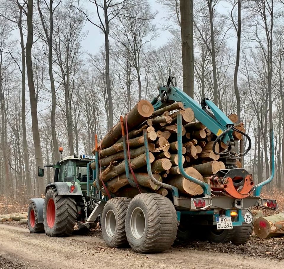 Brennholz Stammholz  Holztransport  Scheitholz in Warburg