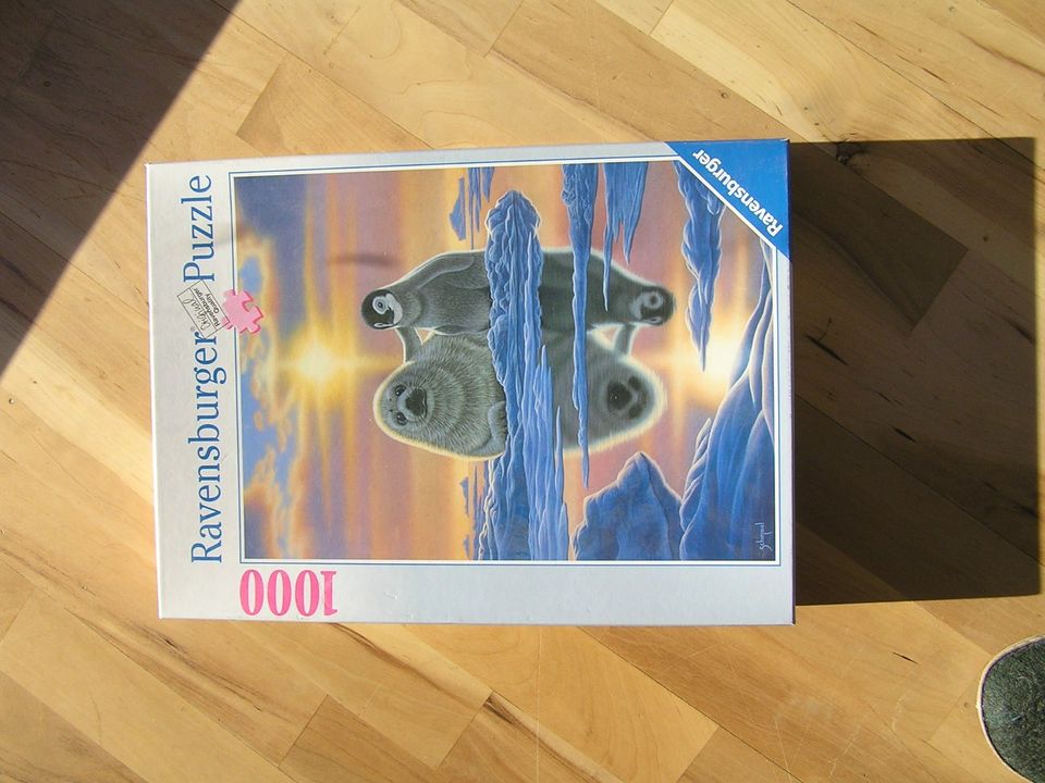 Ravensburger Puzzle 1000 Teile, Friends around the World in Bad Grönenbach