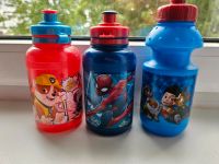 Trinkflaschen Kinder Paw Patrol Spiderman Rheinland-Pfalz - Landau in der Pfalz Vorschau