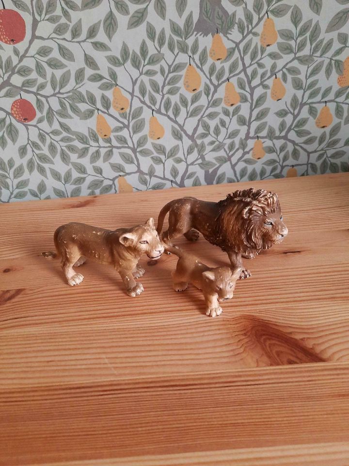 Schleich Löwenfamilie in Drochtersen