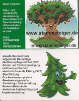 Baumpflege,Obstbaumschnitt,Heckenschnitt,,Fällung,Konrolle Sachsen - Rochlitz Vorschau