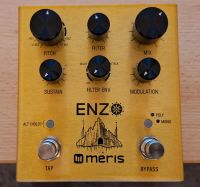 Enzo Meris Synthesizer Gitarre Effektpedal Kreis Pinneberg - Wedel Vorschau