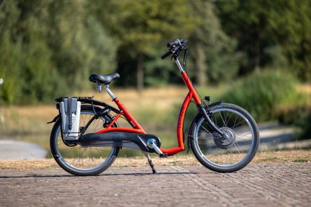 Van Raam "Balace 51 cm " Tiefeinsteiger Fahrrad mit E-Antrieb in Emden