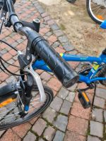 Fahrrad 20 zoll Saarland - Homburg Vorschau