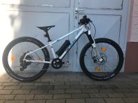 Ben-e-Bike TWENTYFOUR PRO 1X250 Wh  13KG AUF LAGER Nordrhein-Westfalen - Lohmar Vorschau