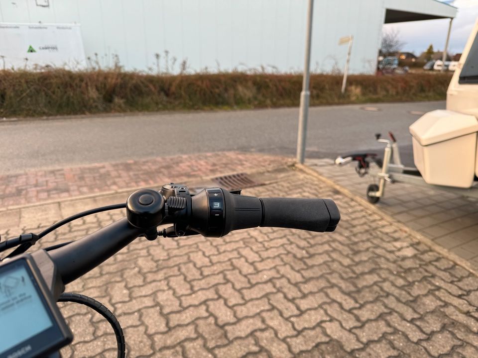 Qio Eins P-5 E-Bike Kompaktrad mit Riemenantrieb in Stein (Probstei)