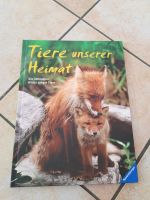 Buch Kinderbuch "Tiere unserer Heimat" Bilder junger Tiere Baden-Württemberg - Bötzingen Vorschau