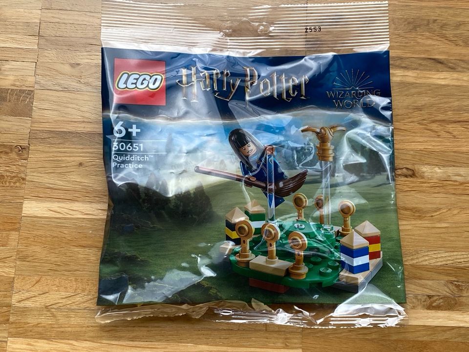 Lego 30651 Harry Potter in Wittlich