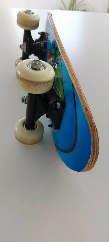 Mini Skateboard nur 40cm länge in Großostheim