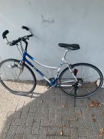 Sport Fahrrad 28 Zoll Nordrhein-Westfalen - Brilon Vorschau