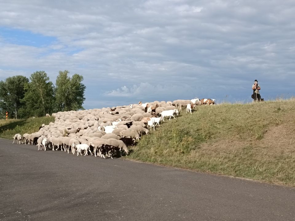 Erholungsgrundstücke gesamte Anlage mit 20 Erholungsgrundstücken, 20 Kleingärten auf einer Fläche von ca. 7000m² in Seelow