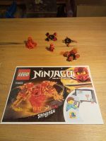 Lego Ninjago - Masters of Spinjitzu Nr. 70659 mit Minifigur Baden-Württemberg - Bruchsal Vorschau