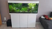 Juwel Rio 240 Aquarium Hessen - Oestrich-Winkel Vorschau