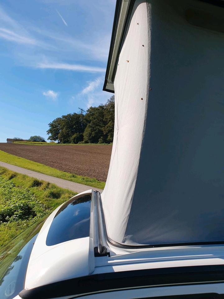 VW California Coast ( Ocean) Edition T6 204 PS Motor erneuert in Kastl
