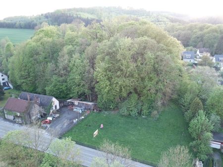 Grundstücke / Grünflächen / Wiesen mit Gebäude, ggfs. Entwicklungspotential, in Balve zu verkaufen in Balve