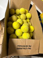 50 oder mehr gebrauchte Tennisbälle, Erlös für Tierschutzarbeit Münster (Westfalen) - Gievenbeck Vorschau