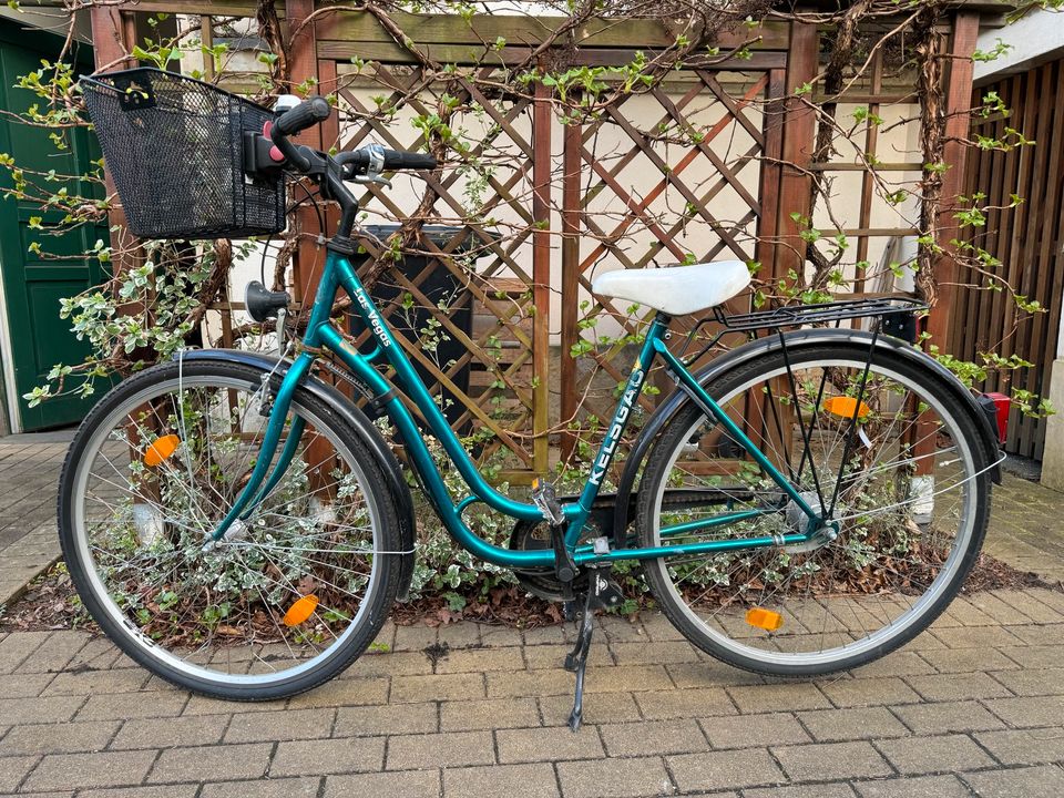 Fahrrad Damen Damenrad KELSGAU Las Vegas 28‘‘ 51cm grün-metallic in Dresden