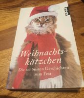 Weihnachtskätzchen- Die schönsten Geschichten zum Fest Nordrhein-Westfalen - Frechen Vorschau