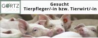 Tierpfleger/-in bzw. Tierwirt/-in Mecklenburg-Vorpommern - Kublank Vorschau