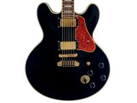 Career E-Gitarre im Stil der Gibson / Epiphone BB King Lucille Hessen - Linsengericht Vorschau