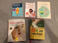 Baby Schwangerschaft Bücher Baden-Württemberg - Villingen-Schwenningen Vorschau